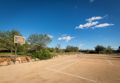 Sport court