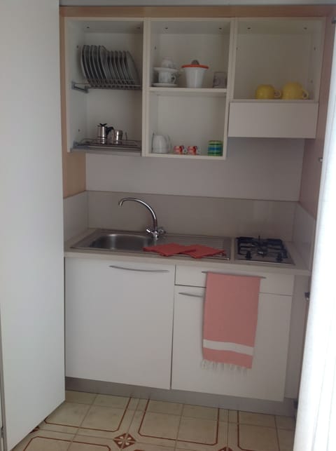 Fridge, stovetop, cookware/dishes/utensils