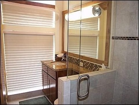 Combined shower/tub, jetted tub, hair dryer, towels