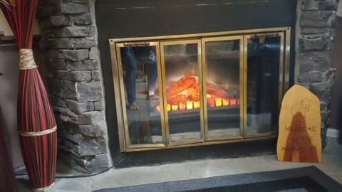 The electric fireplace is top of the line and realistic