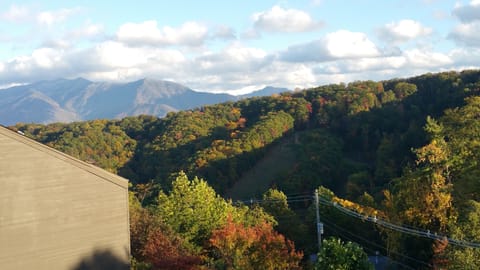 Fall view of Mt LeConte seen from the balcony, the grassy area is Ober ski slope