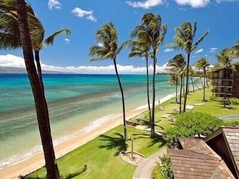 Sun loungers, beach towels