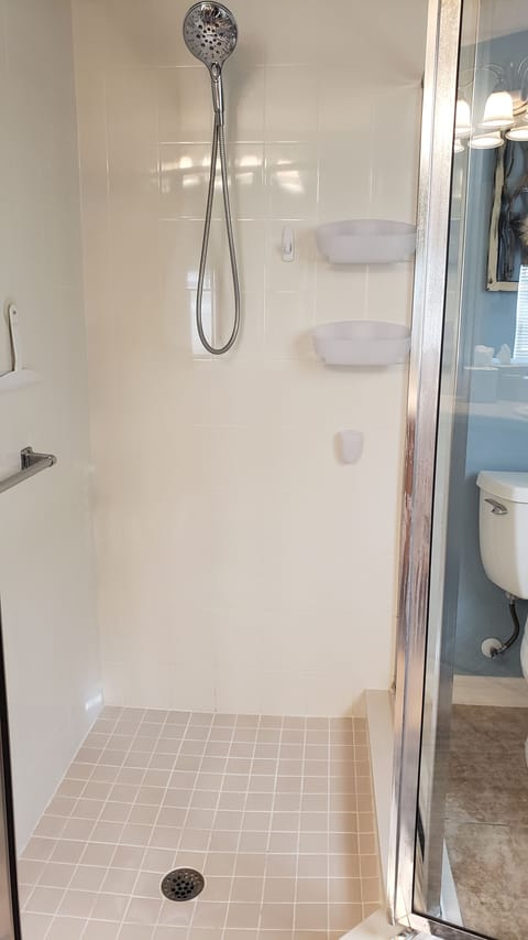 Combined shower/tub, hair dryer, towels, soap