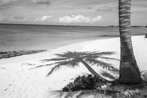 On the beach, sun loungers, beach towels