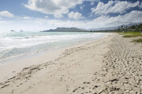 Beach nearby, sun loungers, beach towels