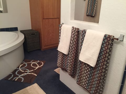 Combined shower/tub, hair dryer, bidet, towels