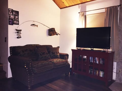 Flat-screen TV, fireplace, DVD player, books