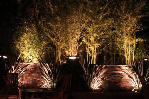 Bamboo Hedge at night on the back deck next to the outdoor stone fireplace.