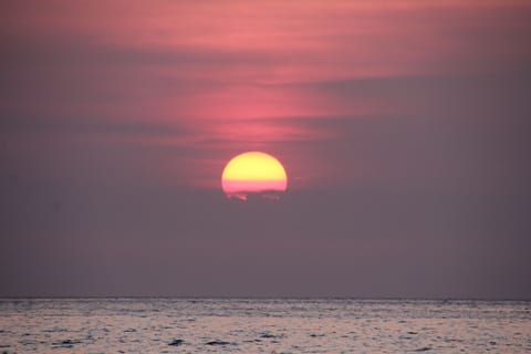 On the beach, sun loungers, beach towels