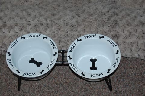 We are pet friendly! Bring your four-legged friend to enjoy the mountains!