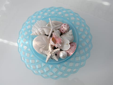 Delightful Beach Chic Shell Decor with my favorite Sea Shells in Blue DG Bowl
