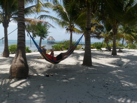 On the beach, sun loungers, beach towels