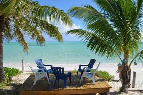 On the beach, sun loungers, beach towels