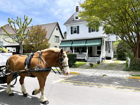 Horse & carriage tours clip clop up historic Hughes Street every day.
