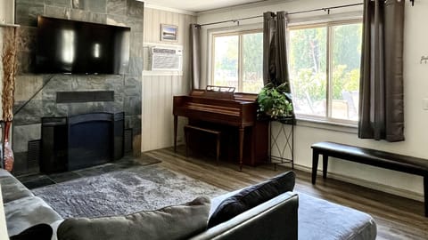 TV, fireplace, books