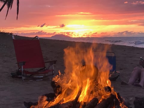 On the beach