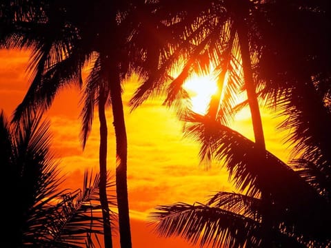 Beach nearby, sun loungers