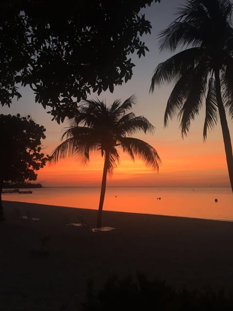 On the beach, sun loungers, beach towels