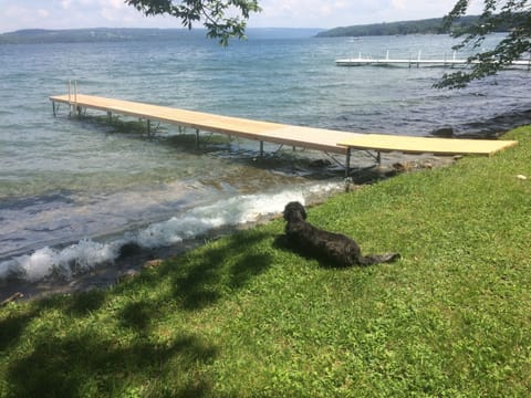 Sun loungers, beach towels