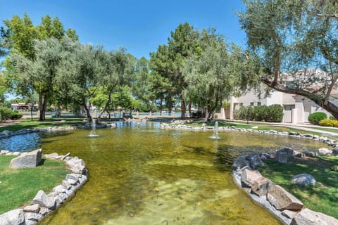 Pond connecting Palm Cove and Lakeside communities