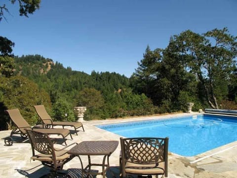 Private pool, Idaho quartz stone surround~View of Big Oat Mountain