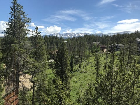 Upstairs Bedroom View
