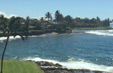 View from lanai: Swim and snorkle in beautiful cove adjacent to Kuhio Shores.