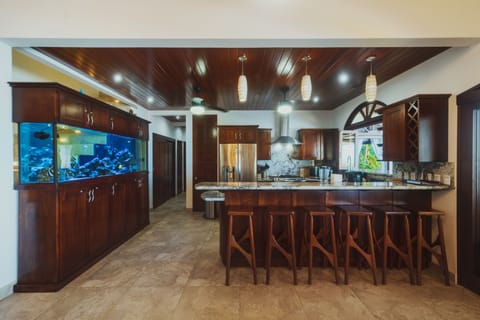 Gourmet kitchen with 300 gallon saltwater aquarium 