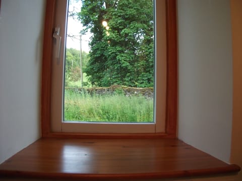 view of jungle through back window,  we still have to finish the outside grounds