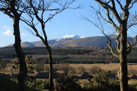 Greystoke Forest and snow capped Blencathra.