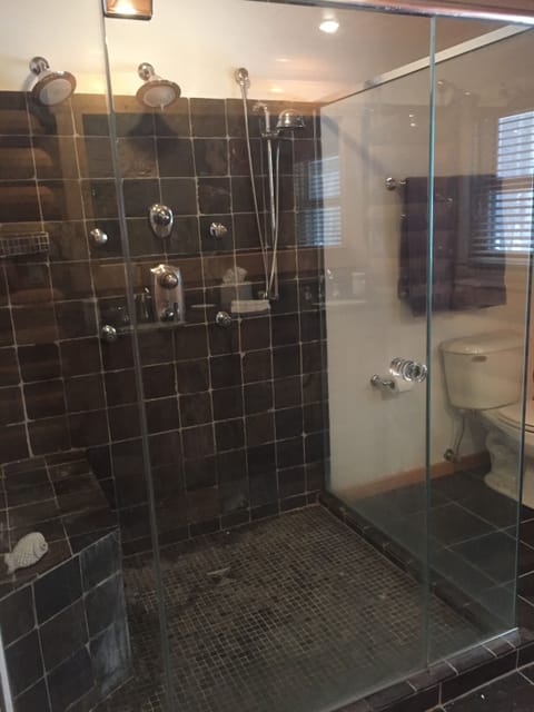 Combined shower/tub, hair dryer, towels, toilet paper