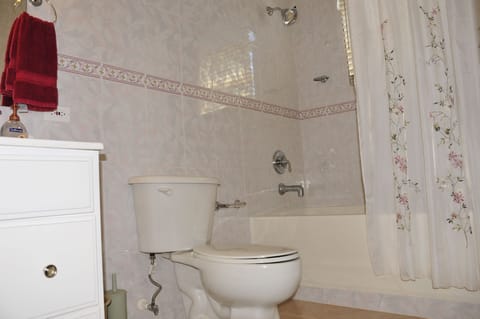 Combined shower/tub, hair dryer, bidet, towels