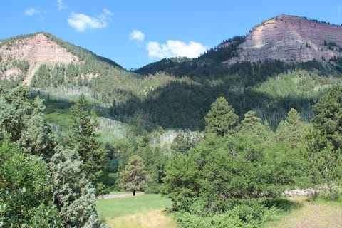 View from backyard balcony