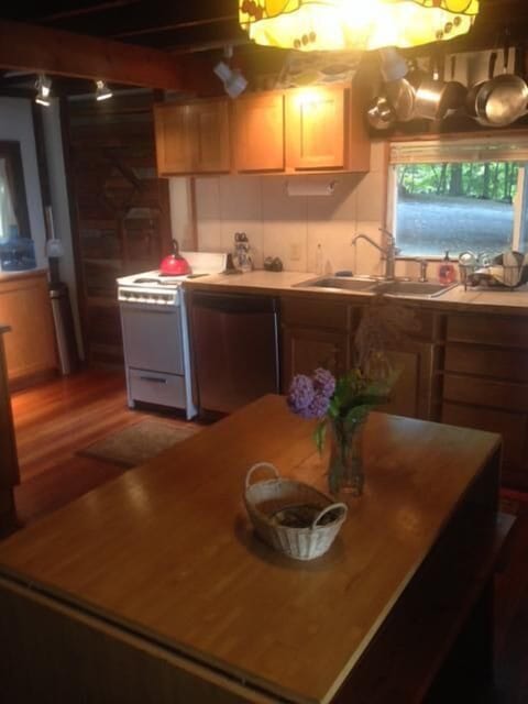 The kitchen features a dishwasher and an array of cookware.