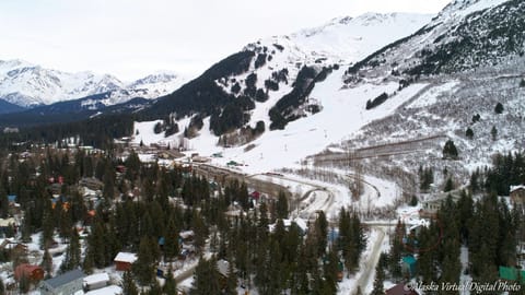 House is circled (lower right) Located at the base of Mt. Alyeska ski area