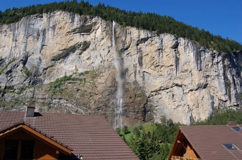 View from Kitchen Window