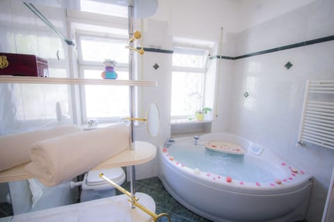 Bathtub, jetted tub, hair dryer, bidet