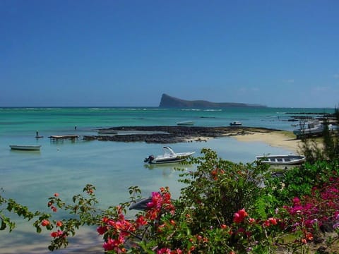 Sun loungers, beach towels