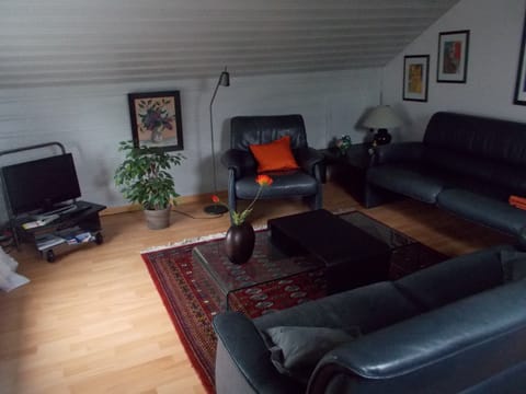Living area | TV, DVD player, books, music library