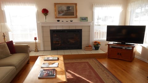 TV, fireplace, DVD player