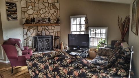 TV, fireplace, DVD player, books