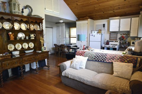 Living Room, kitchen, dining area, washer/dryer.