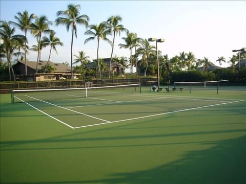 Sport court