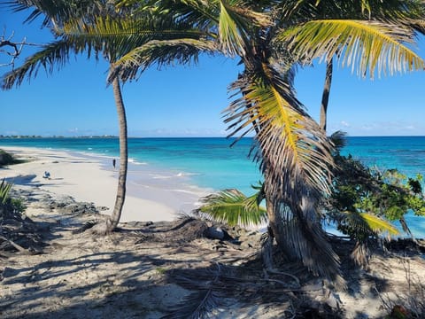 Beach nearby, sun loungers, beach towels