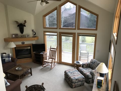 Smart TV, fireplace, books