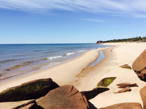 Beach | On the beach, sun loungers, beach towels