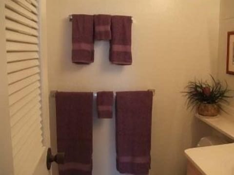 Combined shower/tub, hair dryer, towels, toilet paper