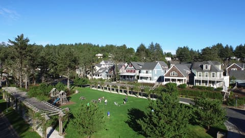 Olivia Beach Central Park