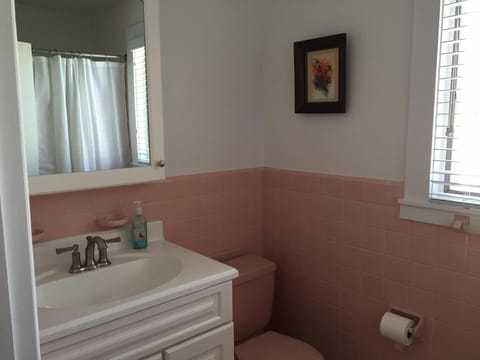 Combined shower/tub, hair dryer, soap, toilet paper