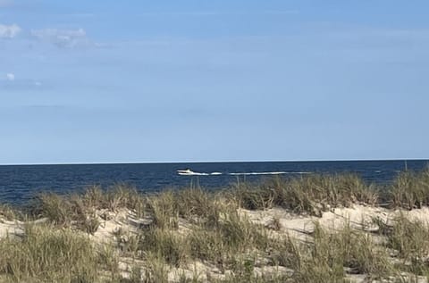 On the beach, sun loungers